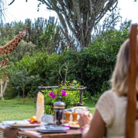 Mbweha Camp Lake Nakuru Elmenteita Eksteriør billede