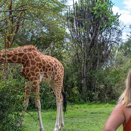 Mbweha Camp Lake Nakuru Elmenteita Eksteriør billede